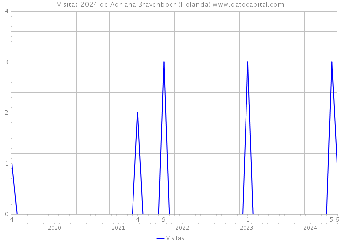 Visitas 2024 de Adriana Bravenboer (Holanda) 