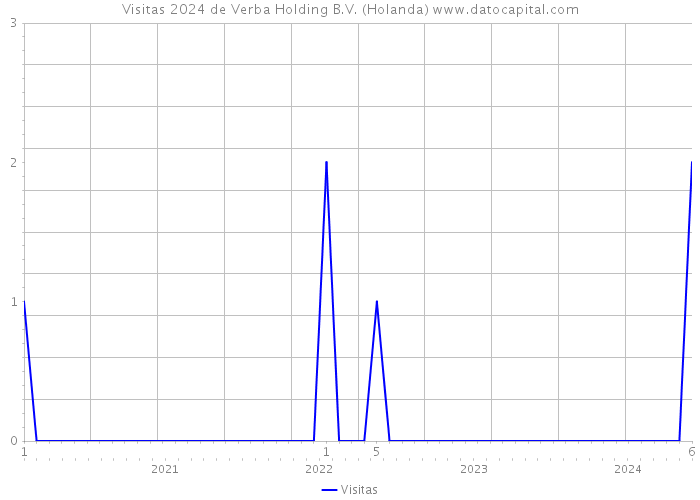 Visitas 2024 de Verba Holding B.V. (Holanda) 