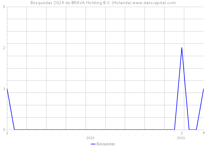 Búsquedas 2024 de BRAVA Holding B.V. (Holanda) 
