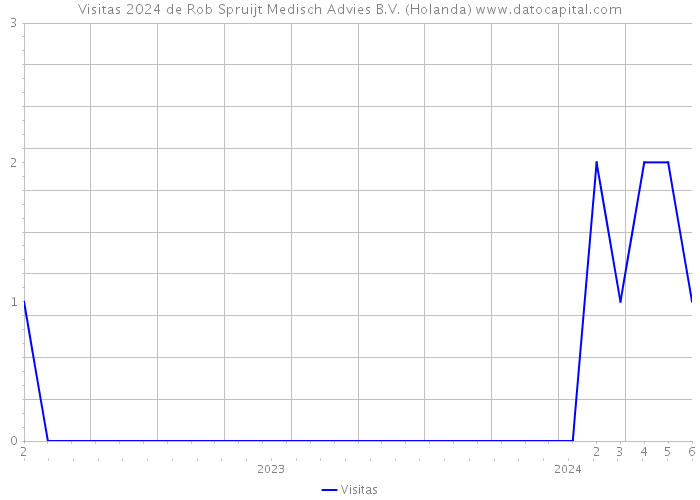 Visitas 2024 de Rob Spruijt Medisch Advies B.V. (Holanda) 