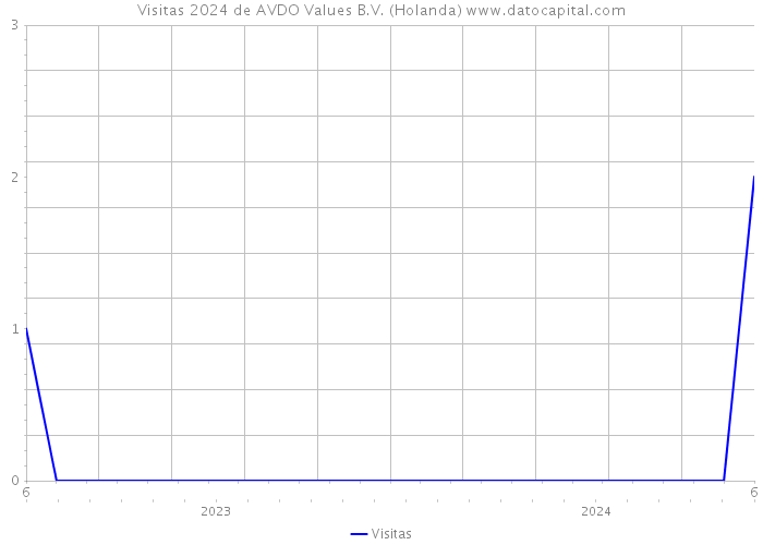 Visitas 2024 de AVDO Values B.V. (Holanda) 
