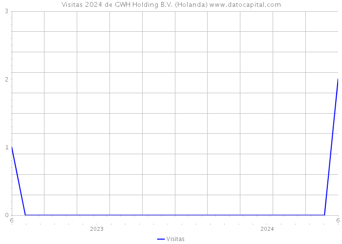 Visitas 2024 de GWH Holding B.V. (Holanda) 