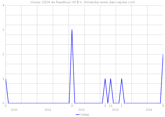 Visitas 2024 de Raadhuis VII B.V. (Holanda) 