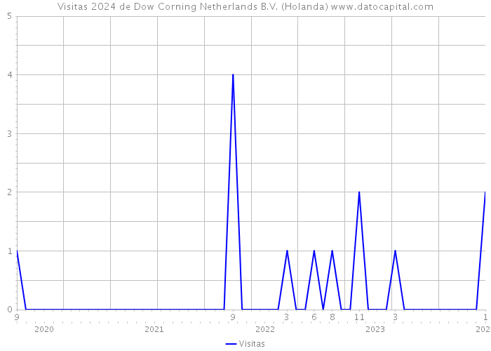 Visitas 2024 de Dow Corning Netherlands B.V. (Holanda) 