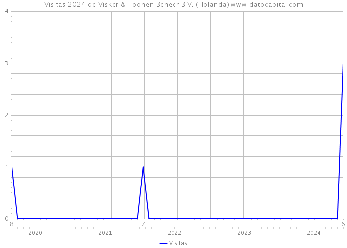 Visitas 2024 de Visker & Toonen Beheer B.V. (Holanda) 