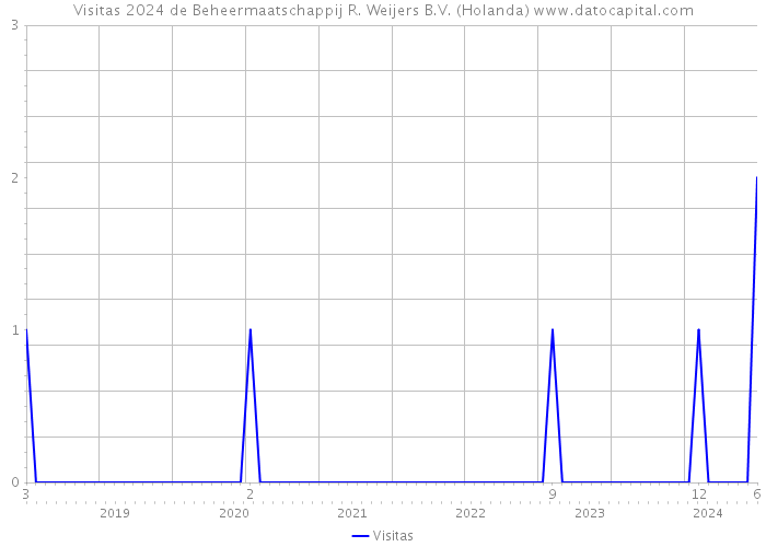 Visitas 2024 de Beheermaatschappij R. Weijers B.V. (Holanda) 