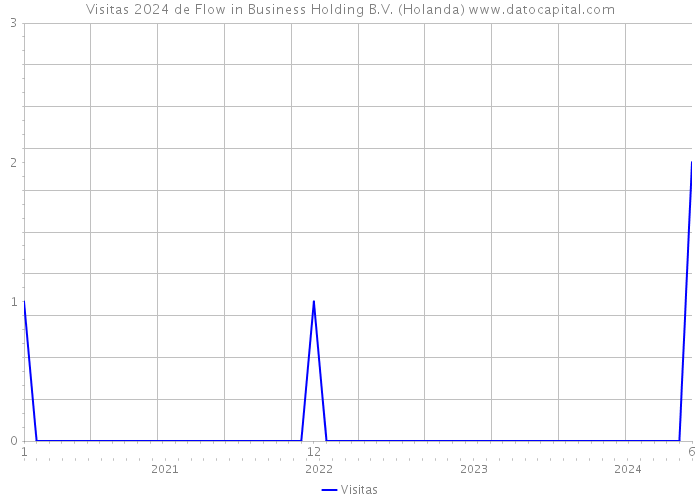 Visitas 2024 de Flow in Business Holding B.V. (Holanda) 