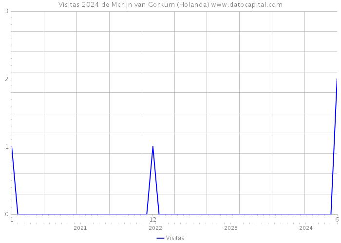 Visitas 2024 de Merijn van Gorkum (Holanda) 