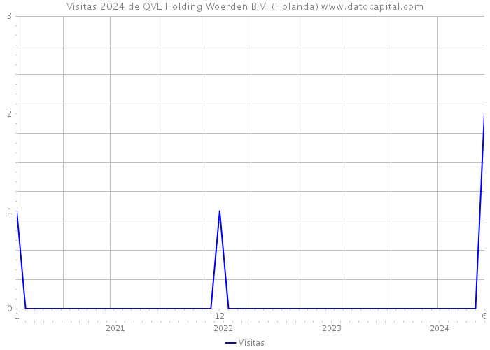 Visitas 2024 de QVE Holding Woerden B.V. (Holanda) 