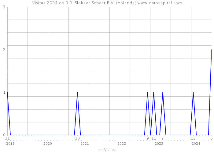 Visitas 2024 de R.R. Blokker Beheer B.V. (Holanda) 