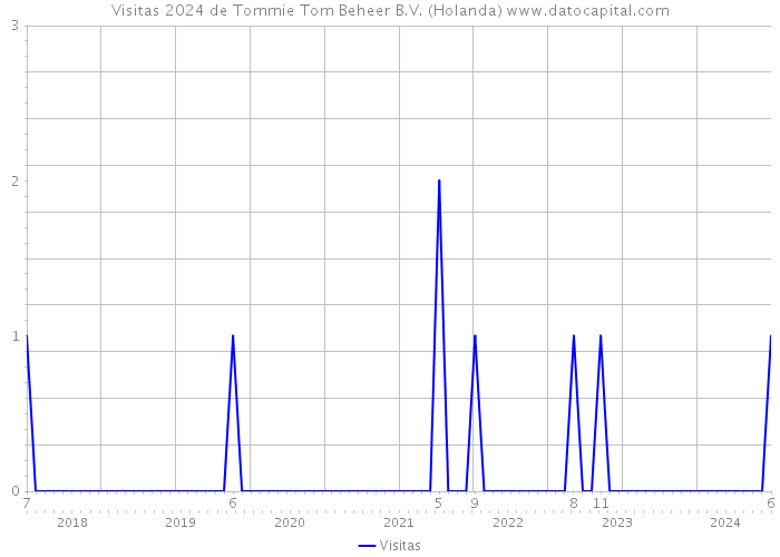 Visitas 2024 de Tommie Tom Beheer B.V. (Holanda) 