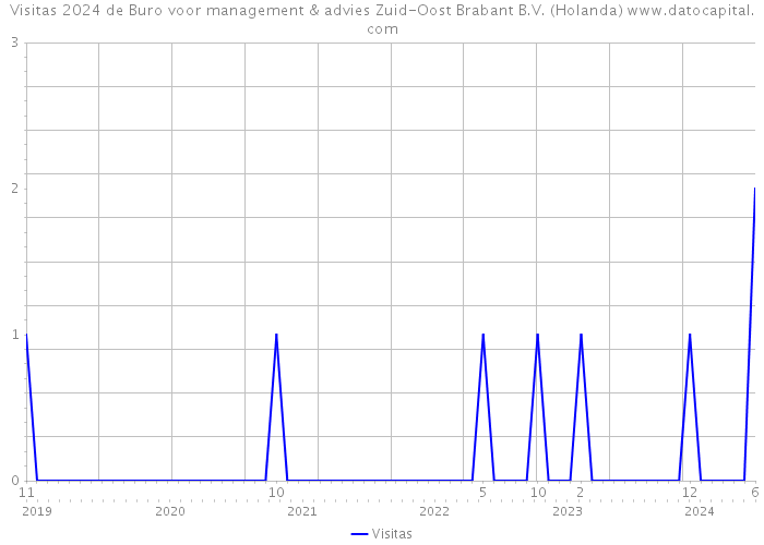 Visitas 2024 de Buro voor management & advies Zuid-Oost Brabant B.V. (Holanda) 