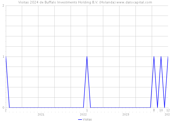 Visitas 2024 de Buffalo Investments Holding B.V. (Holanda) 