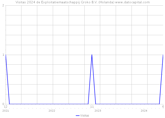 Visitas 2024 de Exploitatiemaatschappij Groko B.V. (Holanda) 