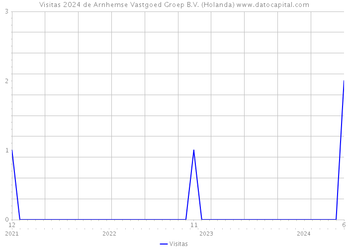 Visitas 2024 de Arnhemse Vastgoed Groep B.V. (Holanda) 
