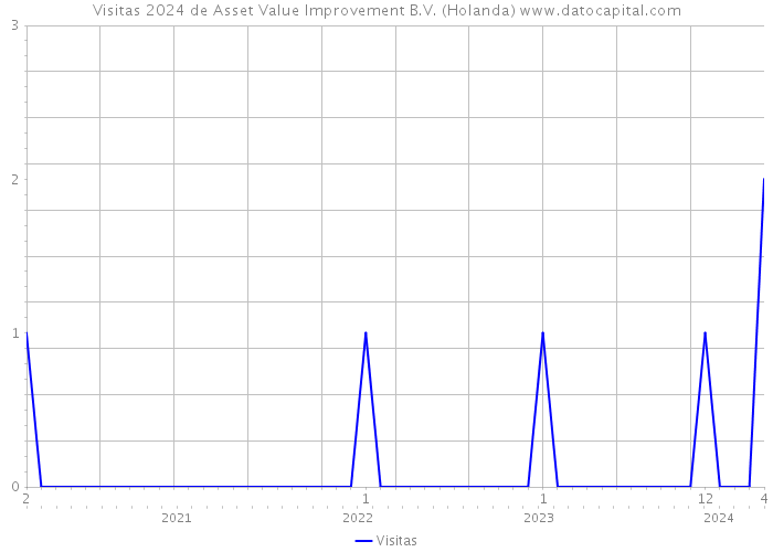 Visitas 2024 de Asset Value Improvement B.V. (Holanda) 
