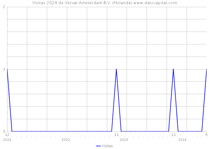 Visitas 2024 de Vervat Amsterdam B.V. (Holanda) 