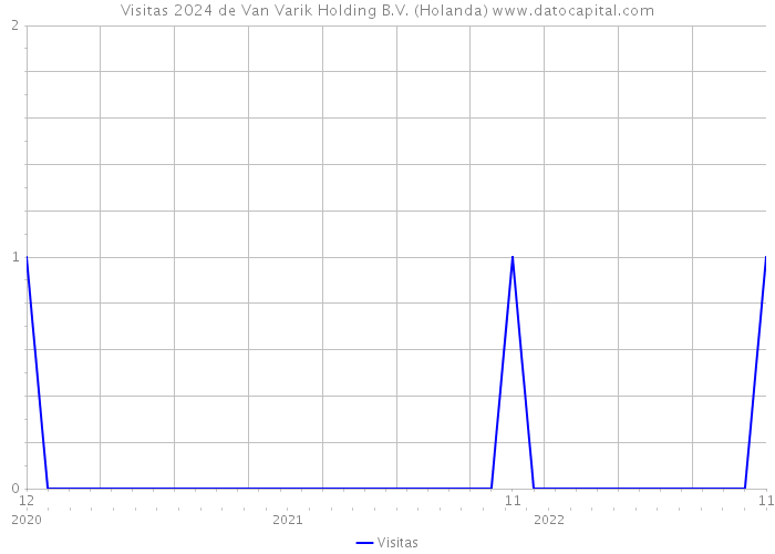 Visitas 2024 de Van Varik Holding B.V. (Holanda) 