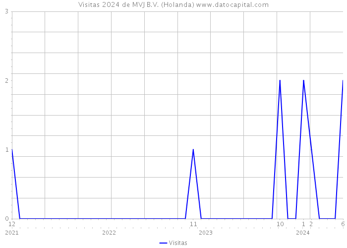 Visitas 2024 de MVJ B.V. (Holanda) 