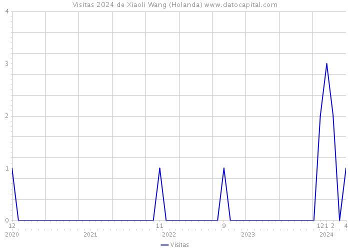 Visitas 2024 de Xiaoli Wang (Holanda) 