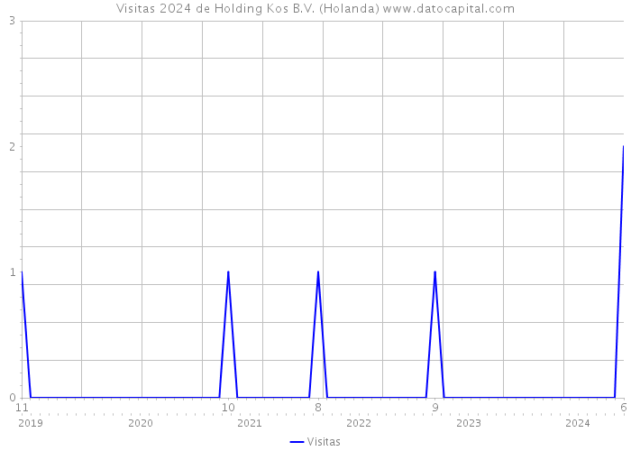 Visitas 2024 de Holding Kos B.V. (Holanda) 