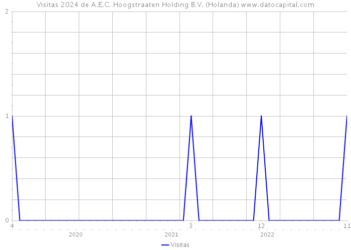 Visitas 2024 de A.E.C. Hoogstraaten Holding B.V. (Holanda) 