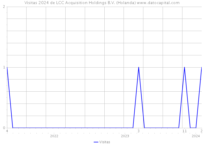 Visitas 2024 de LCC Acquisition Holdings B.V. (Holanda) 