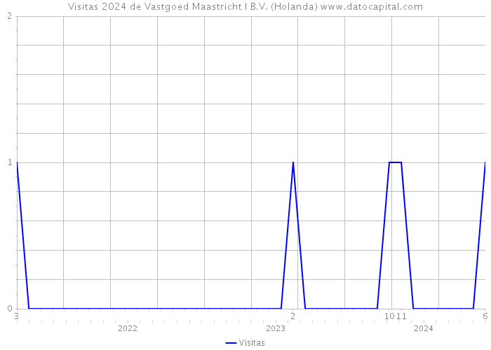 Visitas 2024 de Vastgoed Maastricht I B.V. (Holanda) 