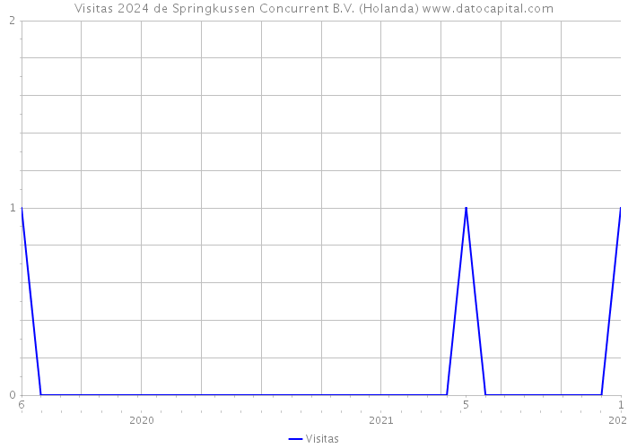 Visitas 2024 de Springkussen Concurrent B.V. (Holanda) 
