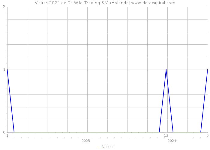 Visitas 2024 de De Wild Trading B.V. (Holanda) 