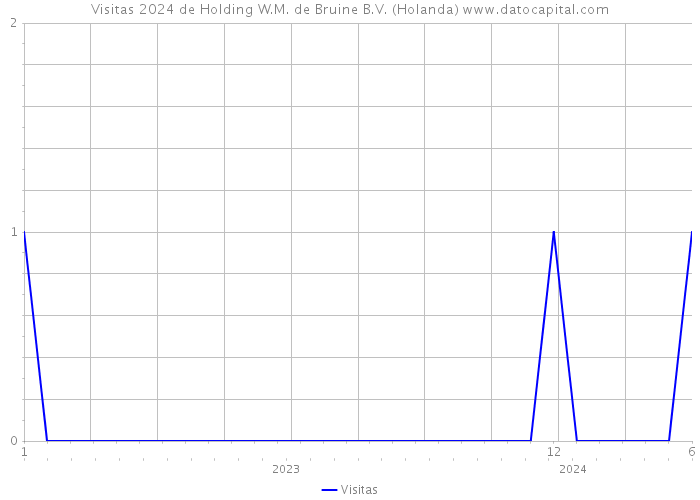 Visitas 2024 de Holding W.M. de Bruine B.V. (Holanda) 