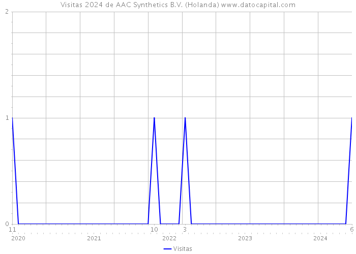 Visitas 2024 de AAC Synthetics B.V. (Holanda) 