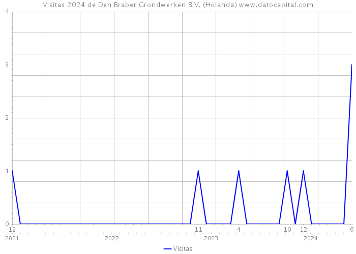 Visitas 2024 de Den Braber Grondwerken B.V. (Holanda) 