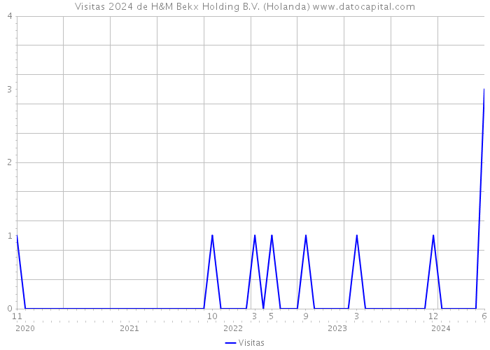 Visitas 2024 de H&M Bekx Holding B.V. (Holanda) 