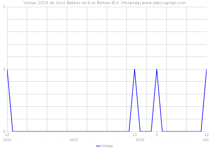 Visitas 2024 de Voor Bakker en Kok Beheer B.V. (Holanda) 