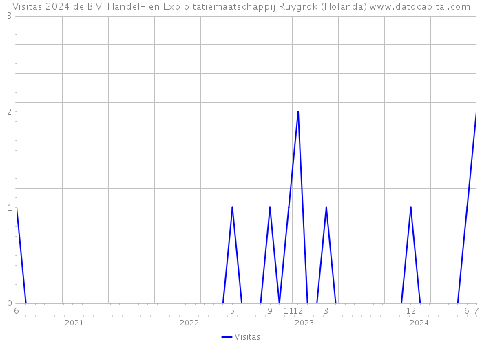 Visitas 2024 de B.V. Handel- en Exploitatiemaatschappij Ruygrok (Holanda) 