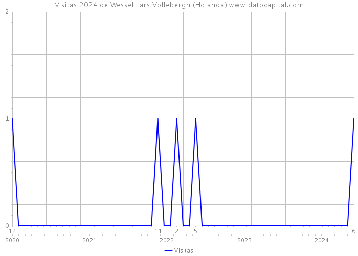 Visitas 2024 de Wessel Lars Vollebergh (Holanda) 