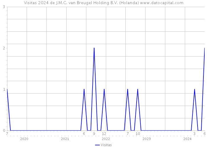 Visitas 2024 de J.M.C. van Breugel Holding B.V. (Holanda) 