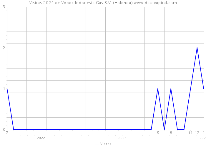 Visitas 2024 de Vopak Indonesia Gas B.V. (Holanda) 