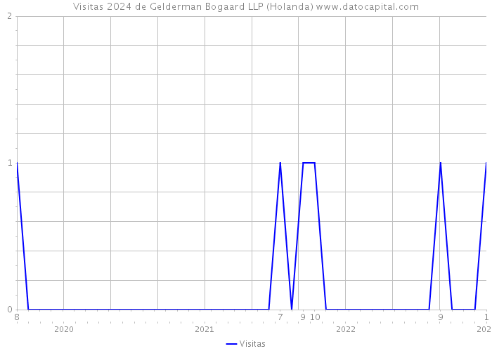 Visitas 2024 de Gelderman Bogaard LLP (Holanda) 