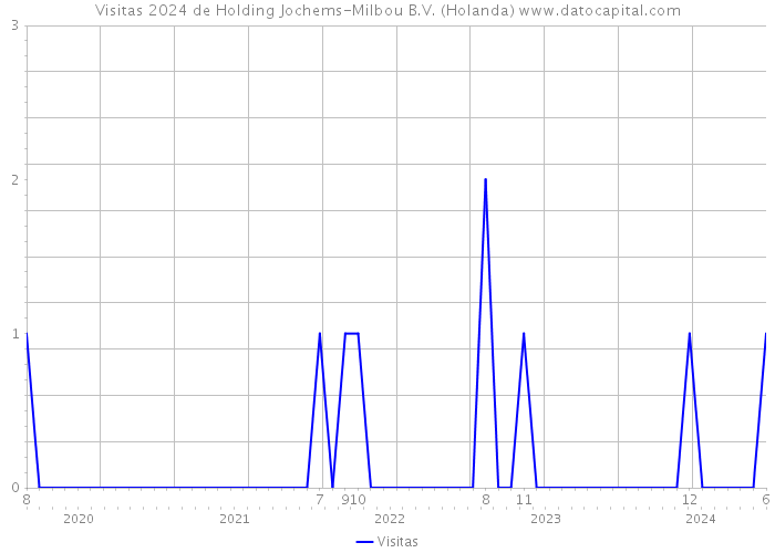Visitas 2024 de Holding Jochems-Milbou B.V. (Holanda) 