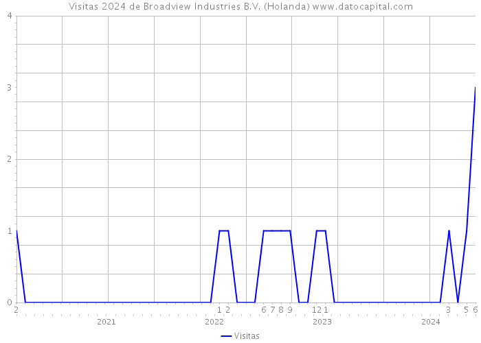 Visitas 2024 de Broadview Industries B.V. (Holanda) 