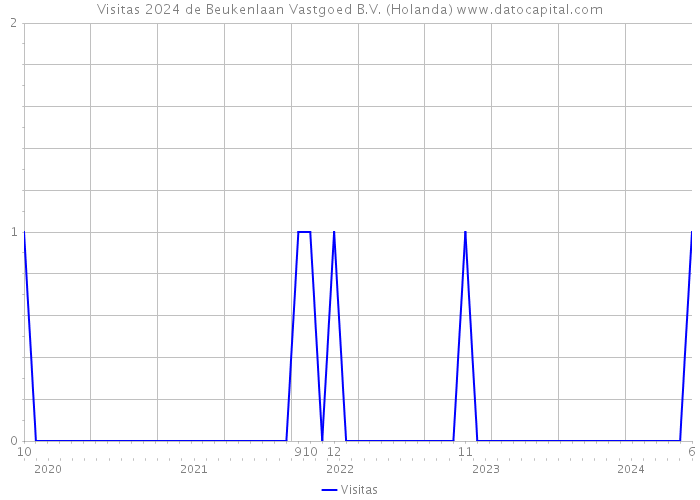 Visitas 2024 de Beukenlaan Vastgoed B.V. (Holanda) 