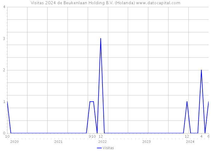 Visitas 2024 de Beukenlaan Holding B.V. (Holanda) 