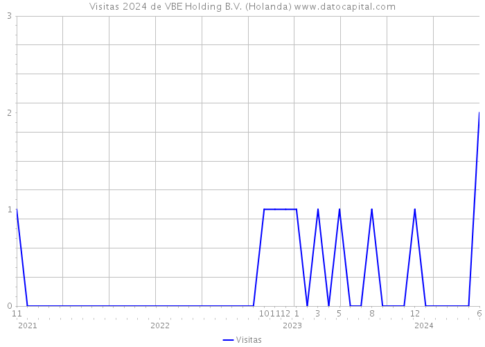 Visitas 2024 de VBE Holding B.V. (Holanda) 