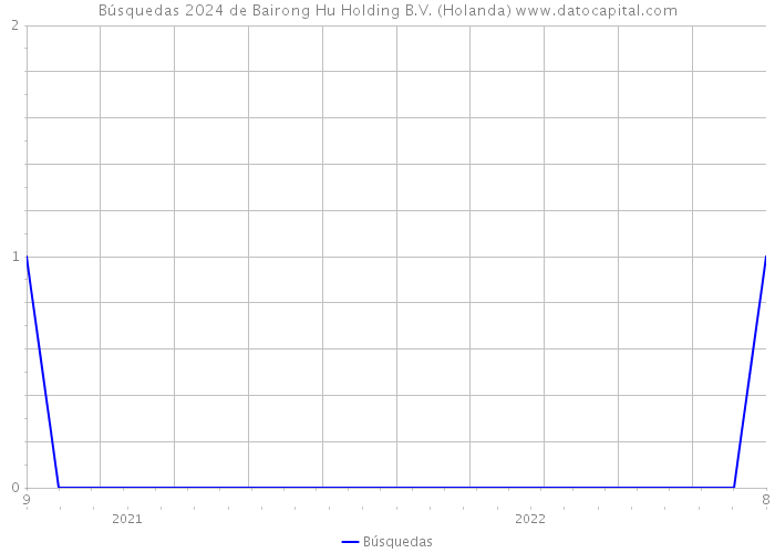 Búsquedas 2024 de Bairong Hu Holding B.V. (Holanda) 