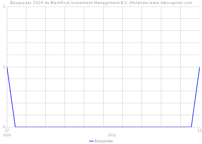 Búsquedas 2024 de BlackRock Investment Management B.V. (Holanda) 
