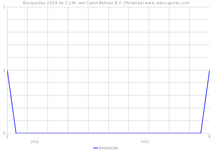 Búsquedas 2024 de C.J.W. van Caem Beheer B.V. (Holanda) 