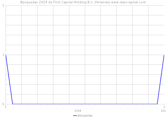 Búsquedas 2024 de First Capital Holding B.V. (Holanda) 
