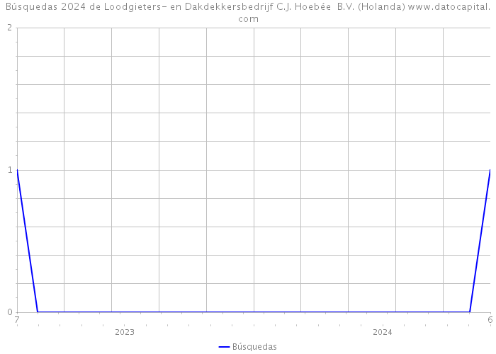 Búsquedas 2024 de Loodgieters- en Dakdekkersbedrijf C.J. Hoebée B.V. (Holanda) 